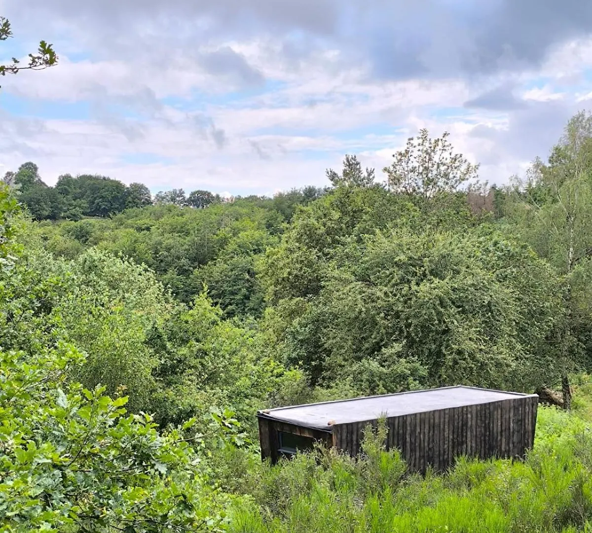 Chalet Moose Tiny House Basalt Villa Cros
